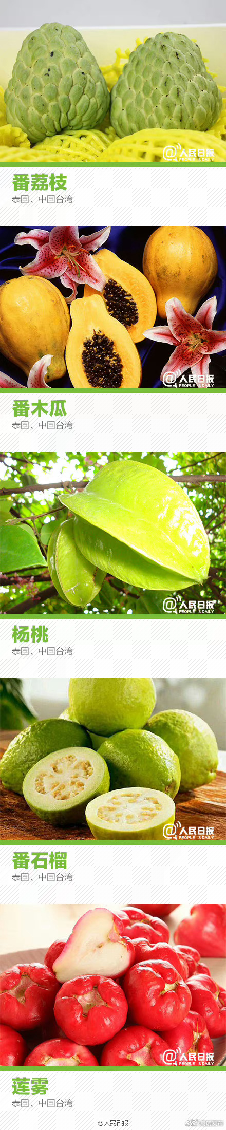 嵩明发布