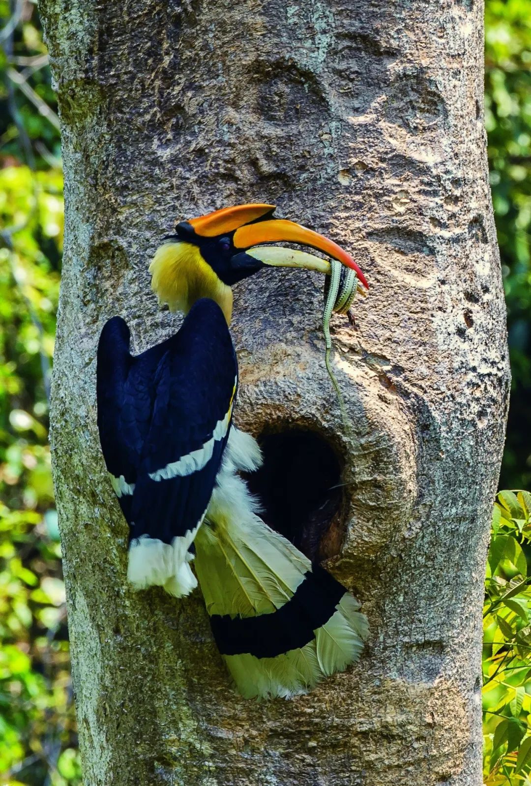 云南省文化和旅游厅