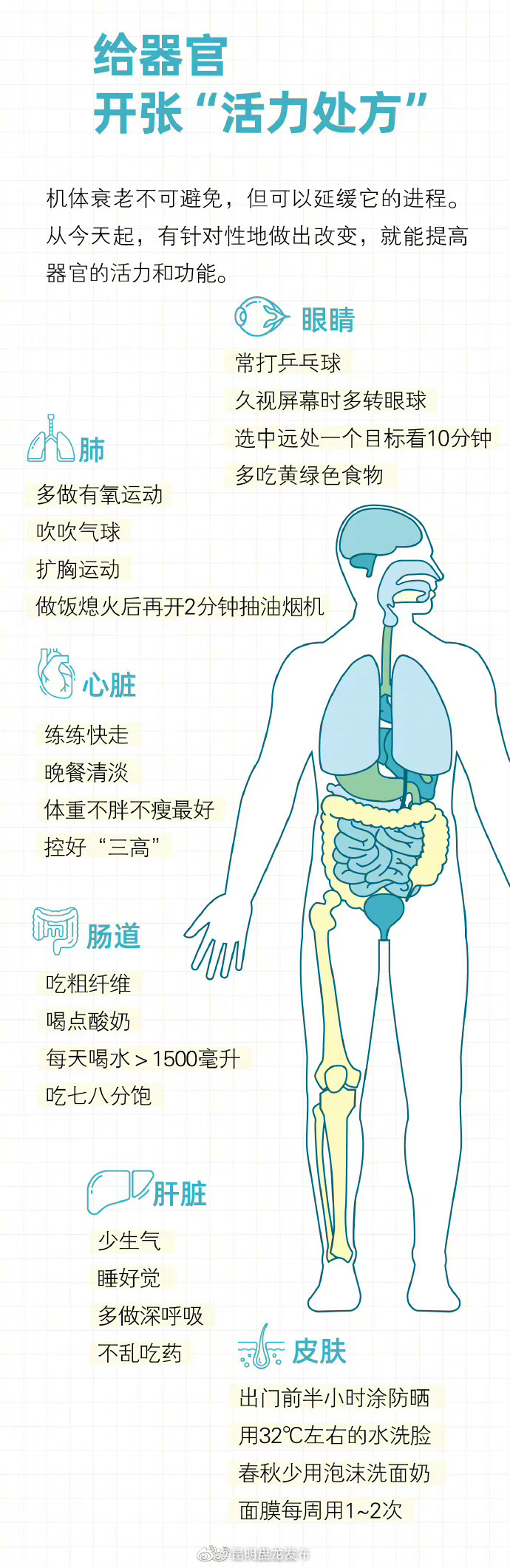 昆明盘龙发布