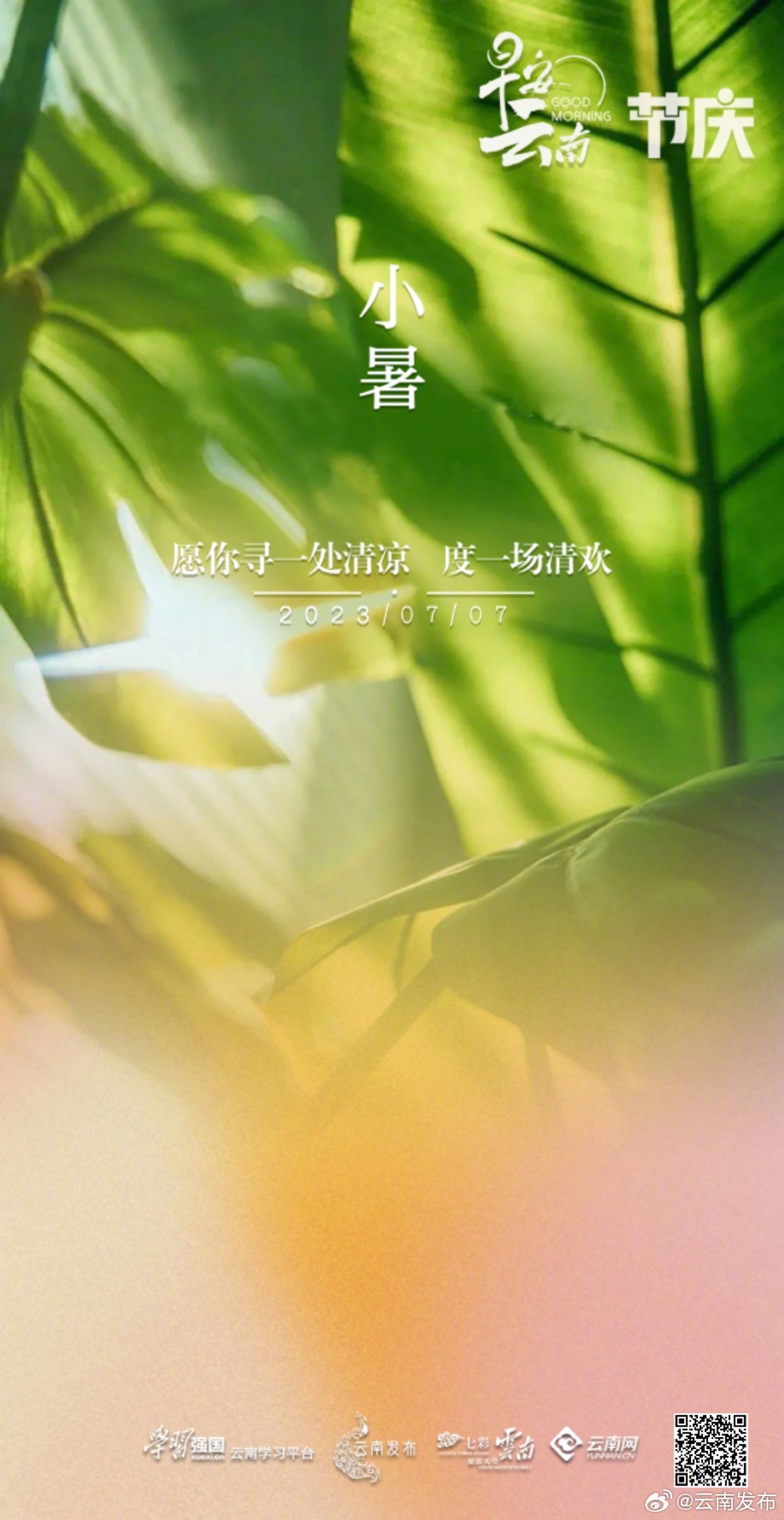 云南发布