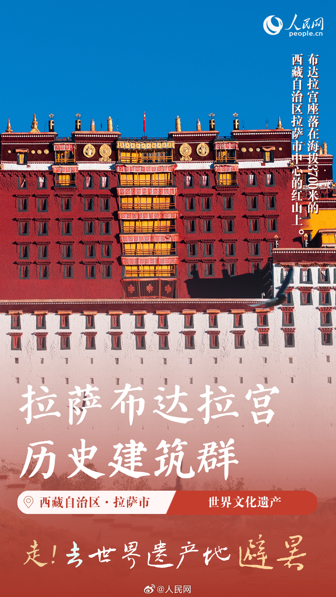 人民网