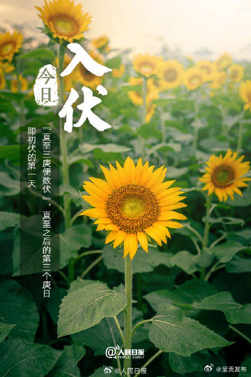 呈贡发布