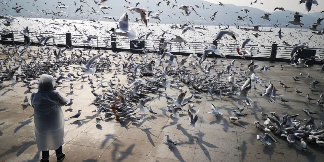 昆明文旅