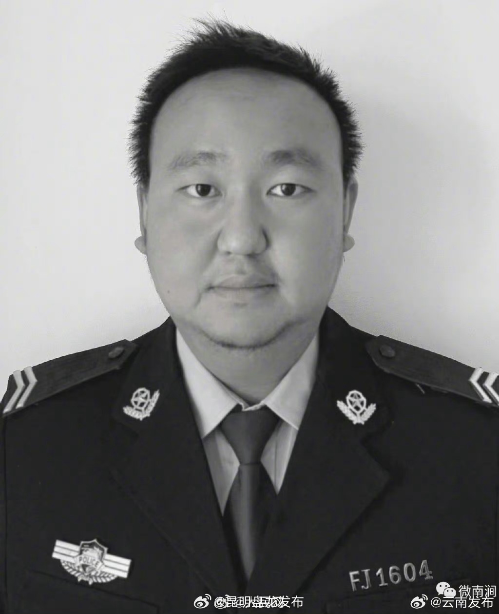 昆明盘龙发布