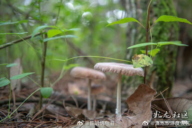 滇池旅游度假区