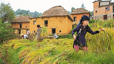 云南省文化和旅游厅