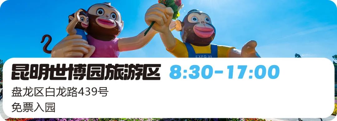 微观盘龙