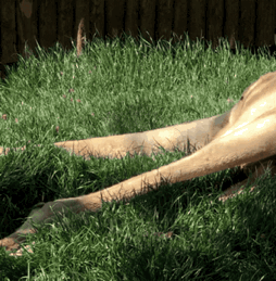 云南野生动物园