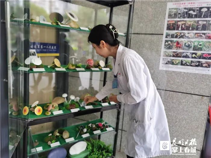 昆明信息港/cnkmxxg