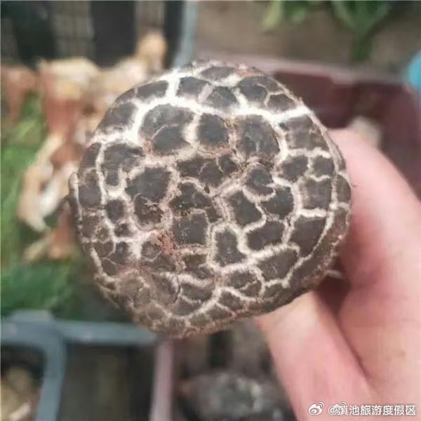 滇池旅游度假区