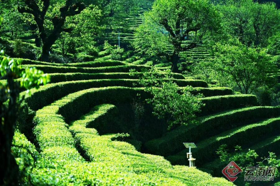 云南省文化和旅游厅