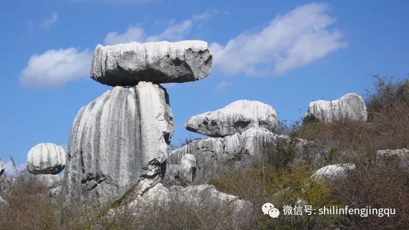 石林融媒