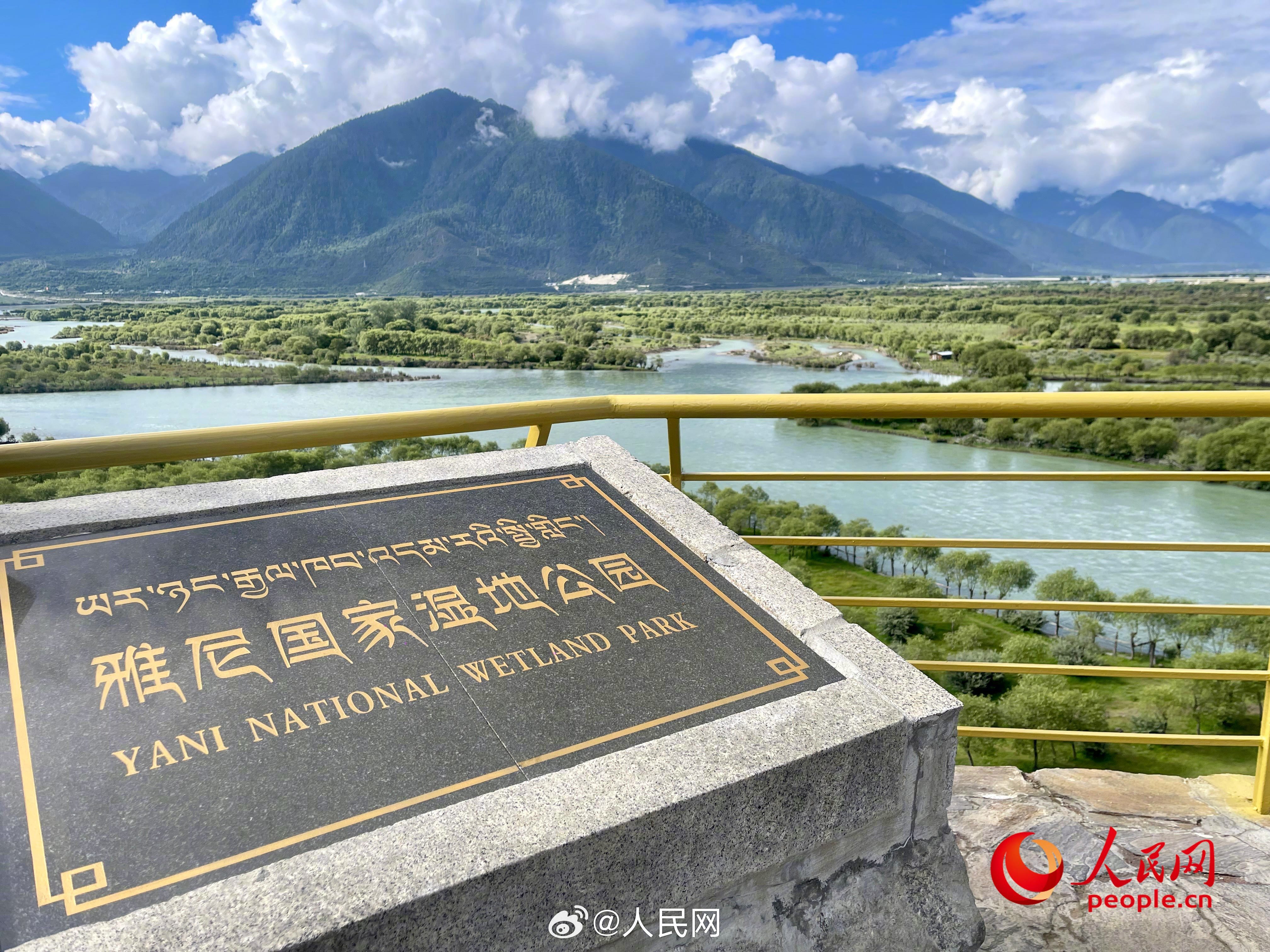 人民网