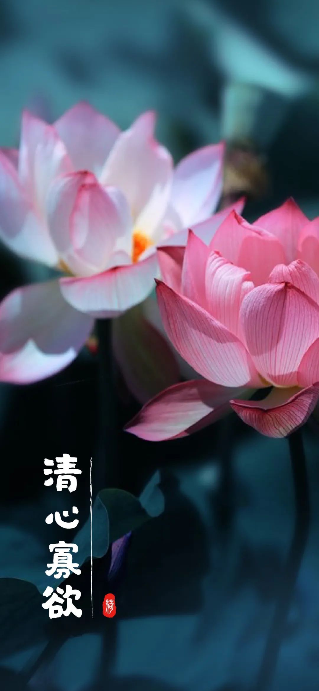 云南省文化和旅游厅