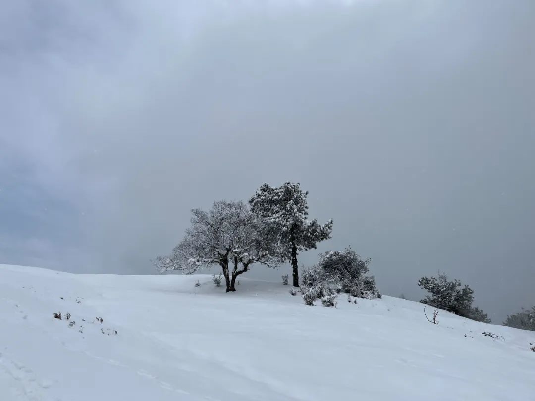 云南省文化和旅游厅