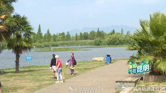 一个人潇洒随性游云南，她独自出行也能玩出新花样