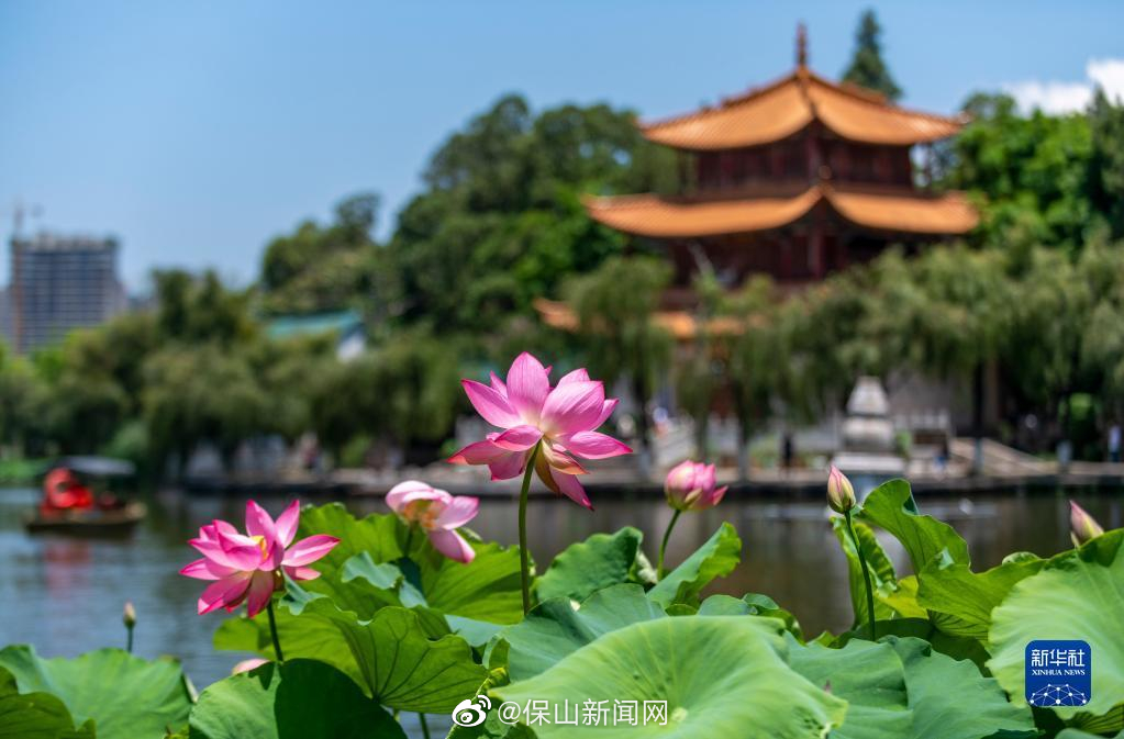 保山新闻网