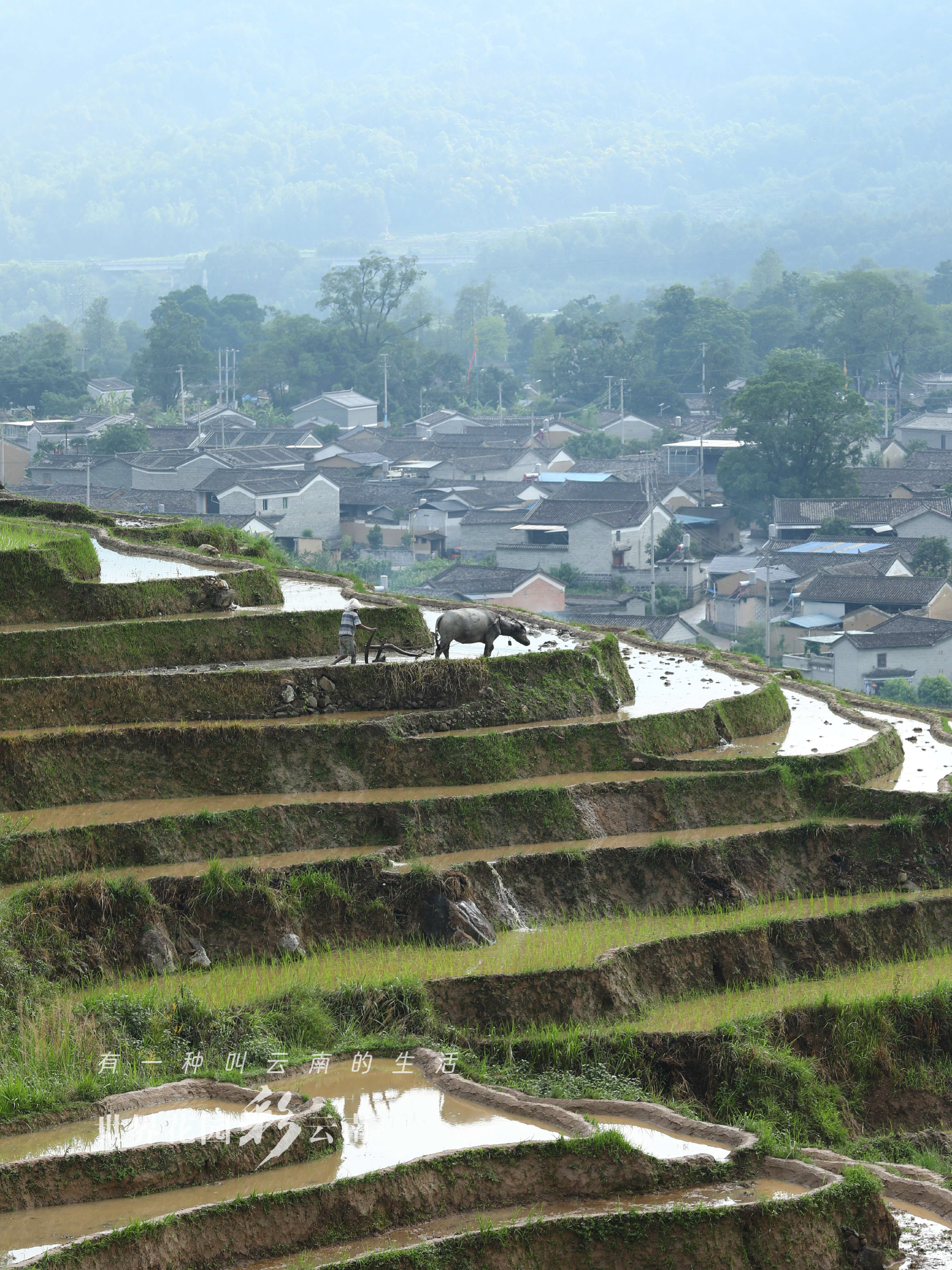 云南省文化和旅游厅
