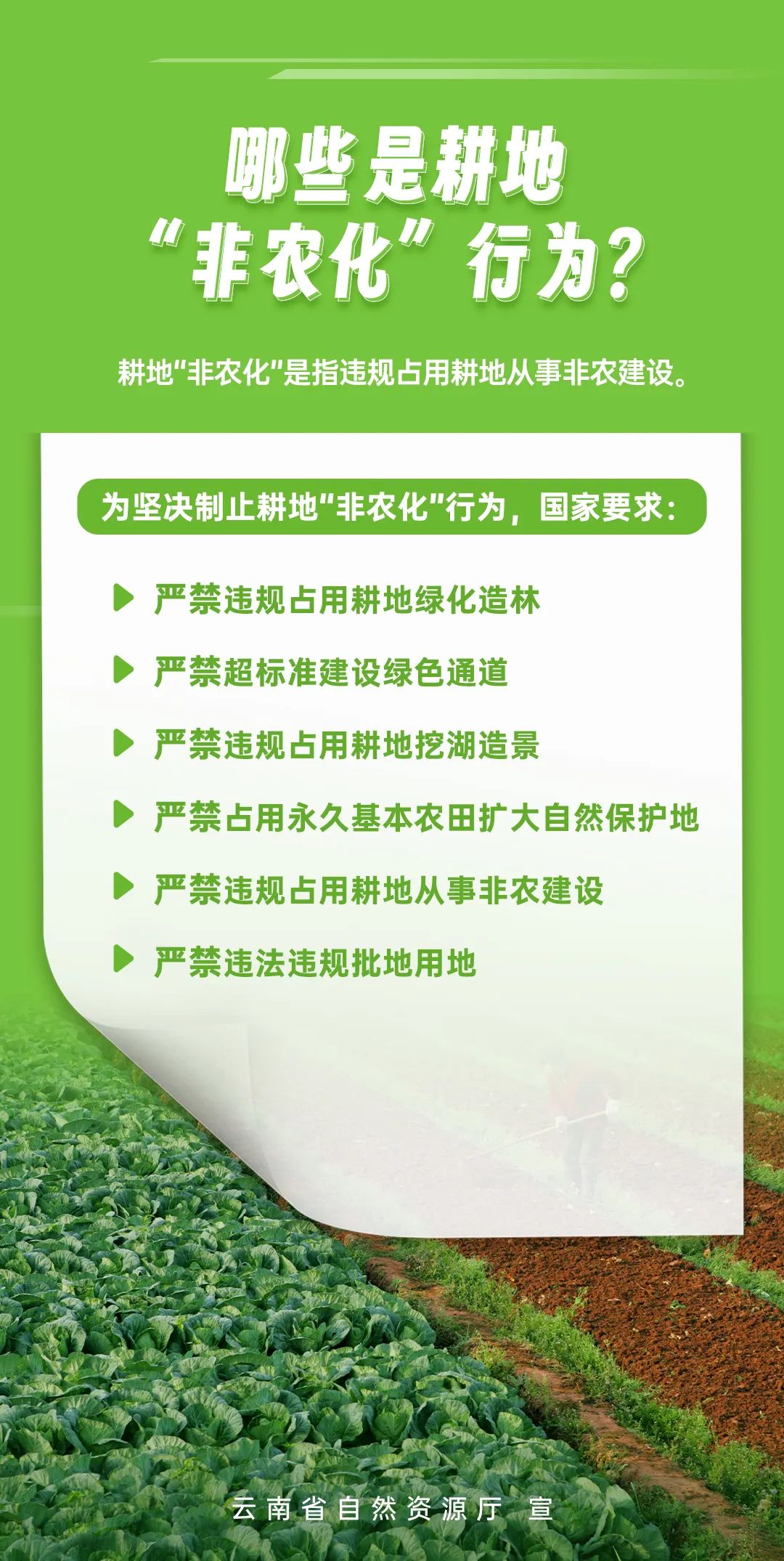 宜良之窗