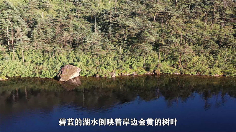 云南省文化和旅游厅
