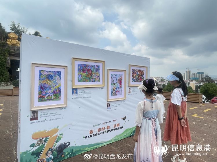 昆明盘龙发布