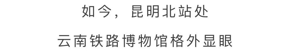 微观盘龙