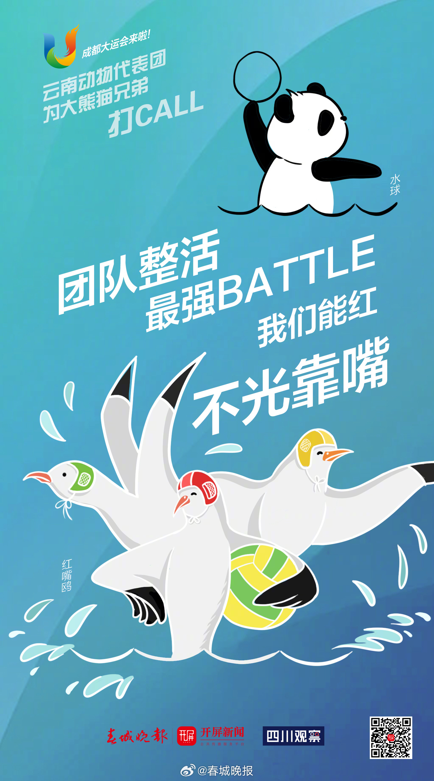 春城晚报