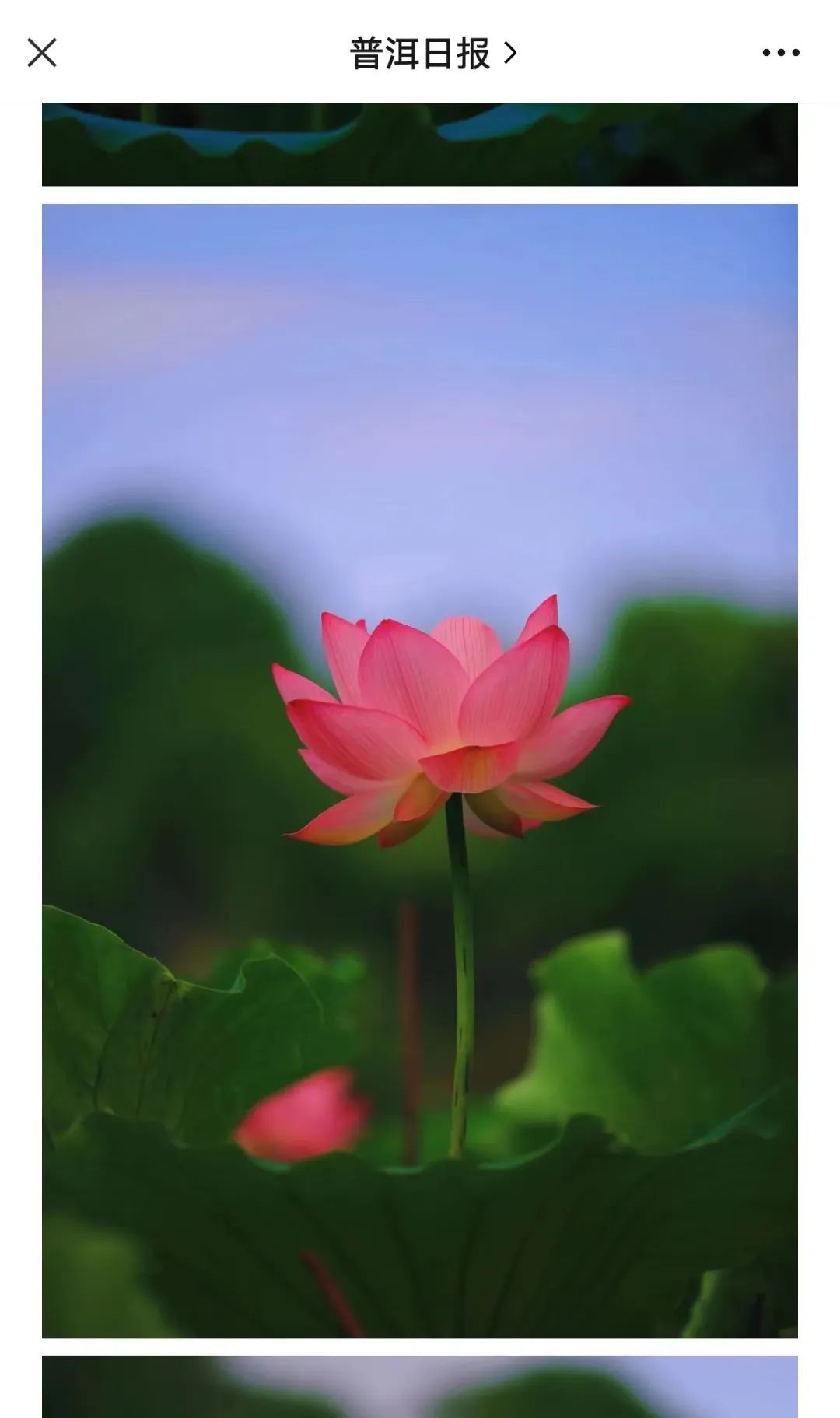 普洱日报