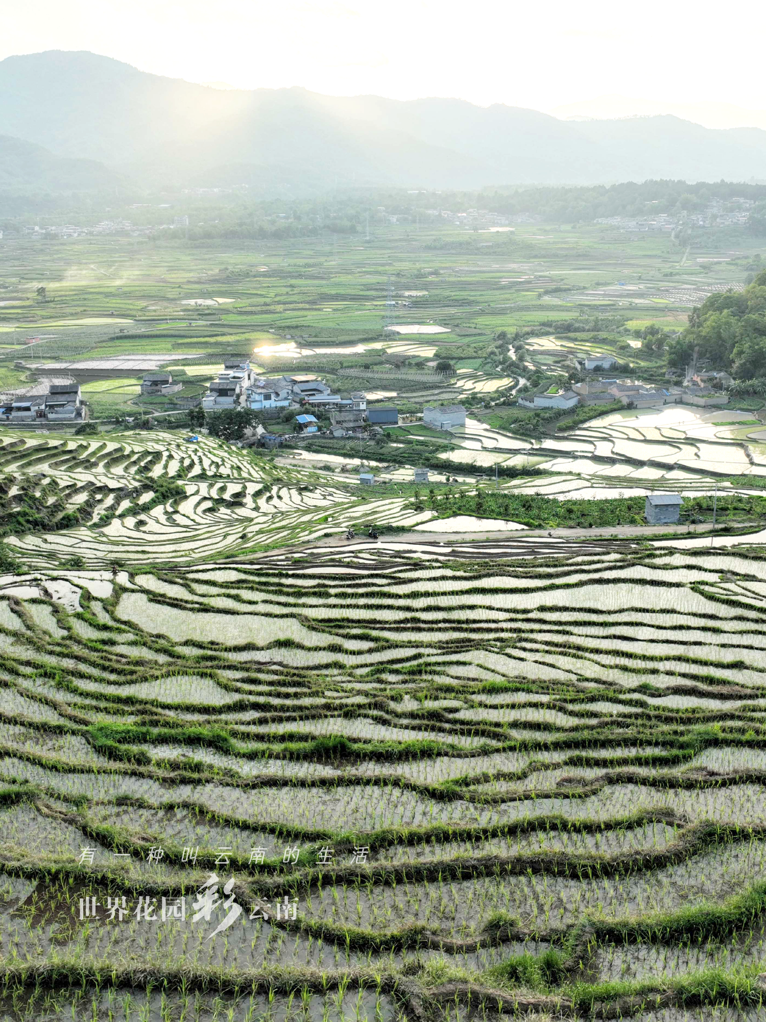 云南省文化和旅游厅