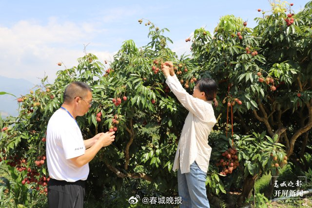 山水家园 甜蜜屏边丨屏边：擦亮监督利剑 护航乡村振兴