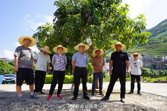 山水家园 甜蜜屏边 | 多措并举 持续做好人大监督“后半篇文章”