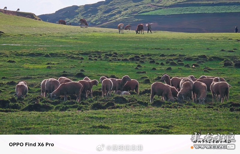 昆明信息港微博