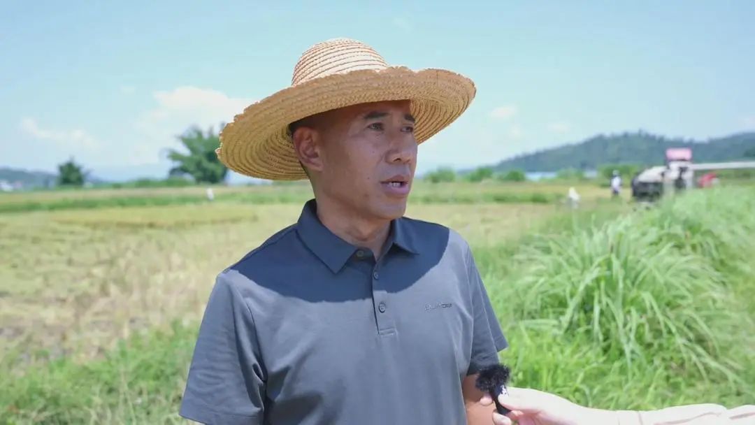 西双版纳先锋