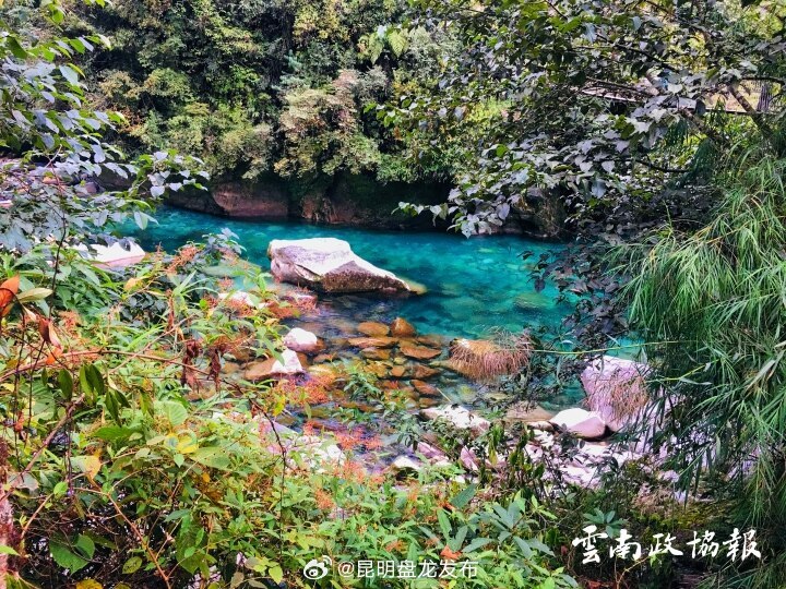 昆明盘龙发布