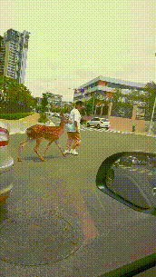 掌上春城微信
