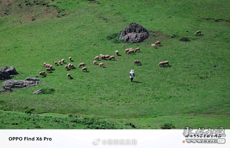 昆明信息港微博