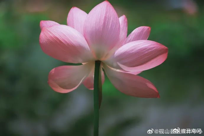 云南省文化和旅游厅