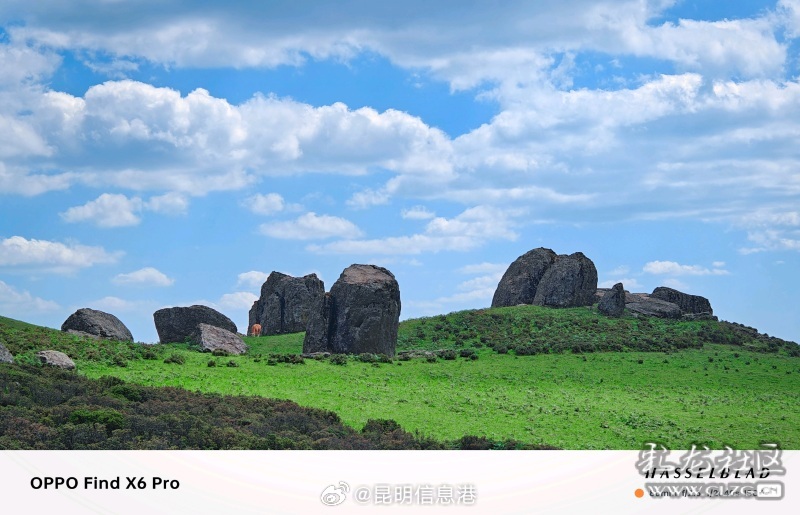 昆明信息港微博