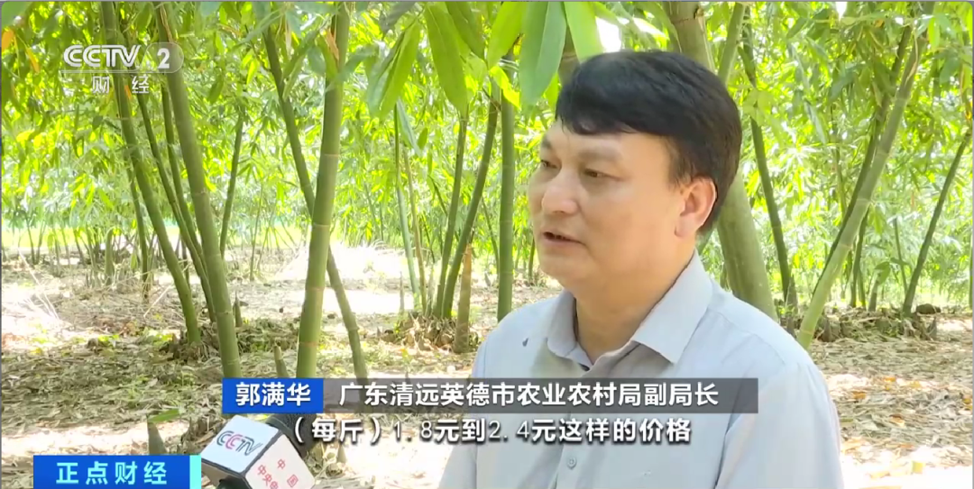 昆明信息港/cnkmxxg