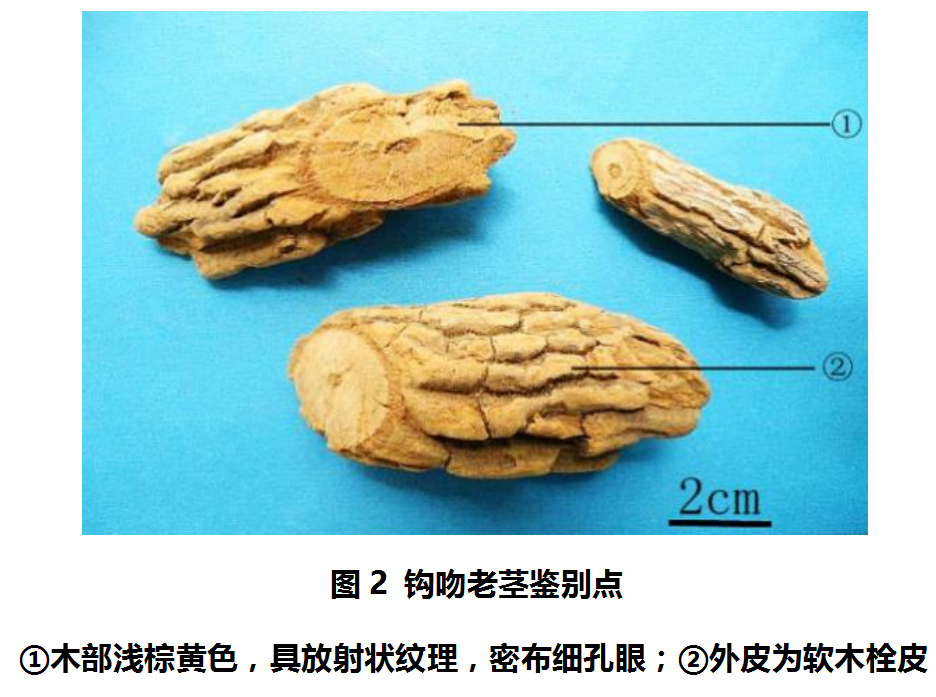 掌上春城微信