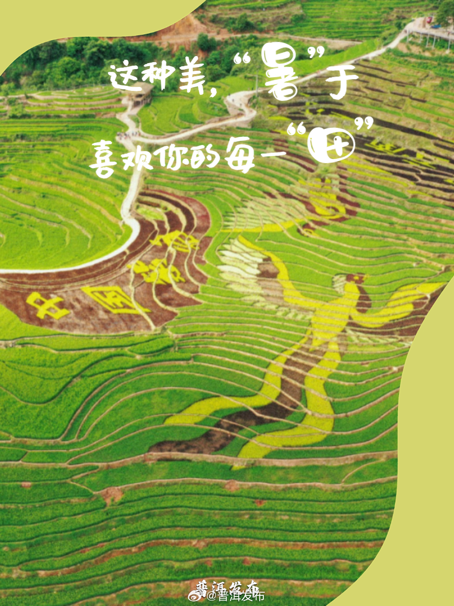 普洱发布
