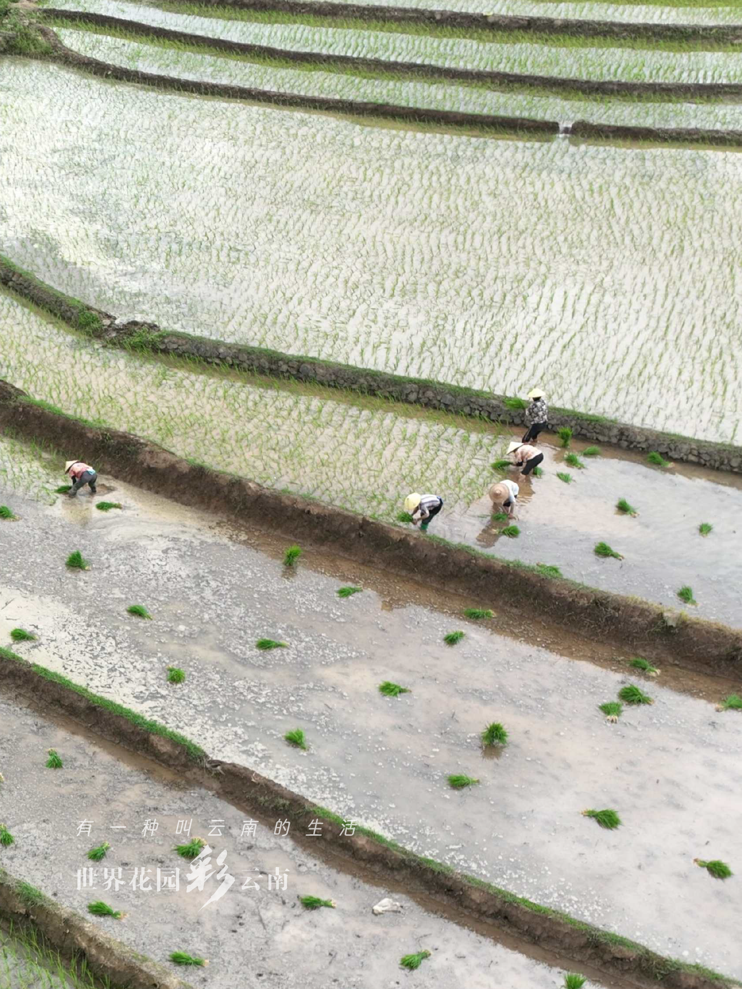 云南省文化和旅游厅