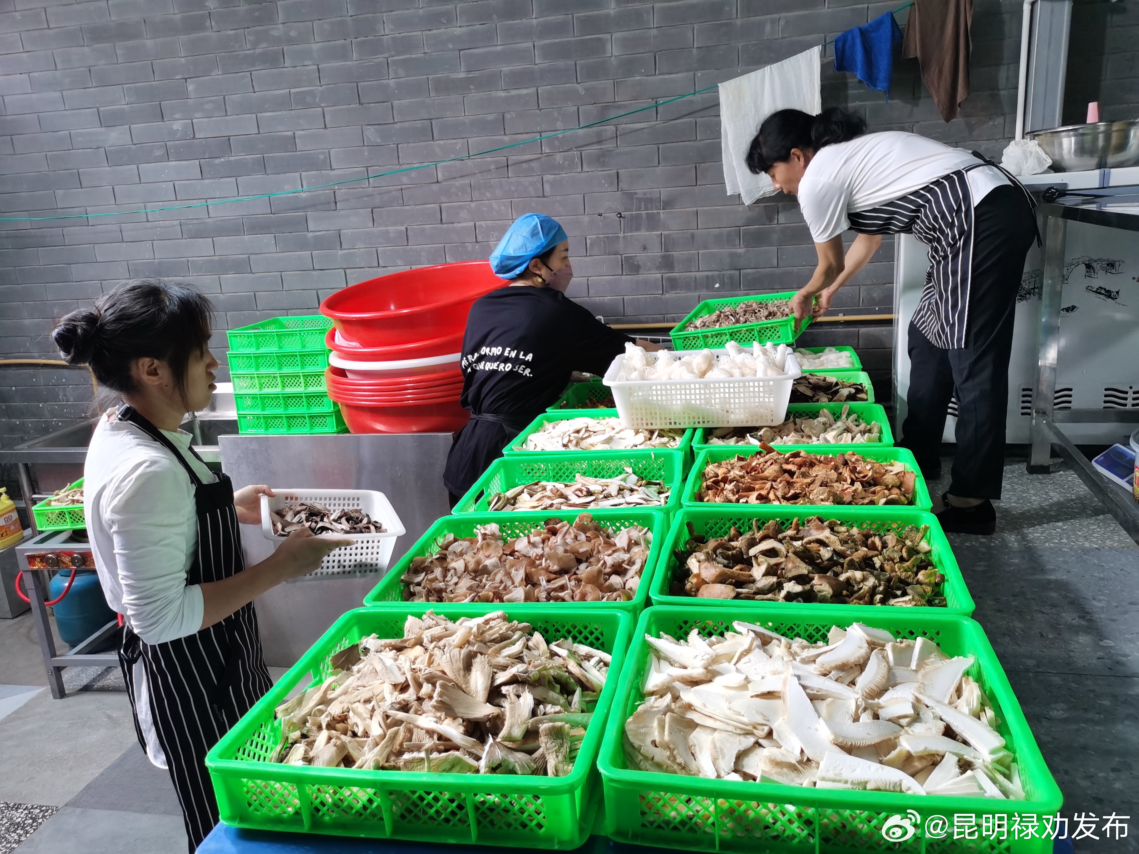 昆明禄劝发布