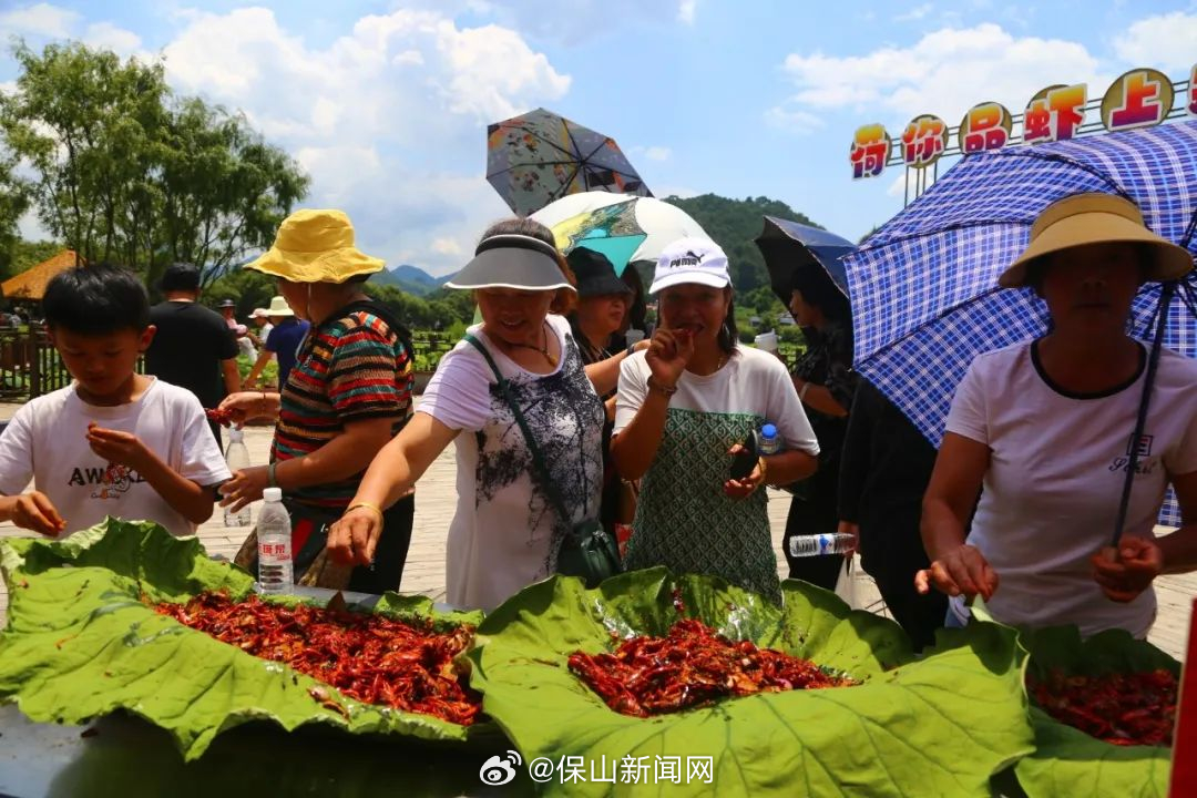 保山新闻网