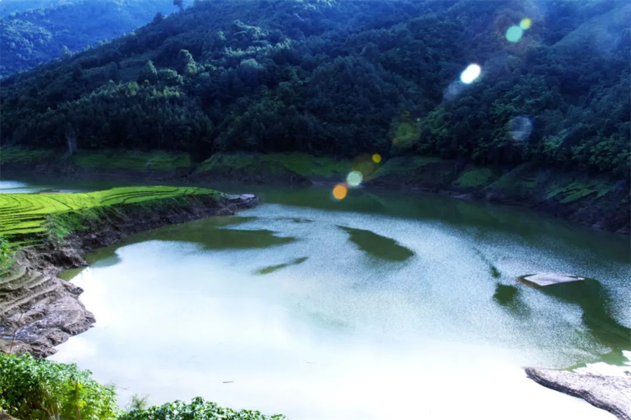 云南省文化和旅游厅