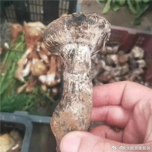 滇池旅游度假区
