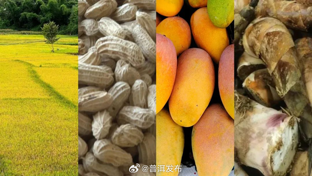 普洱发布