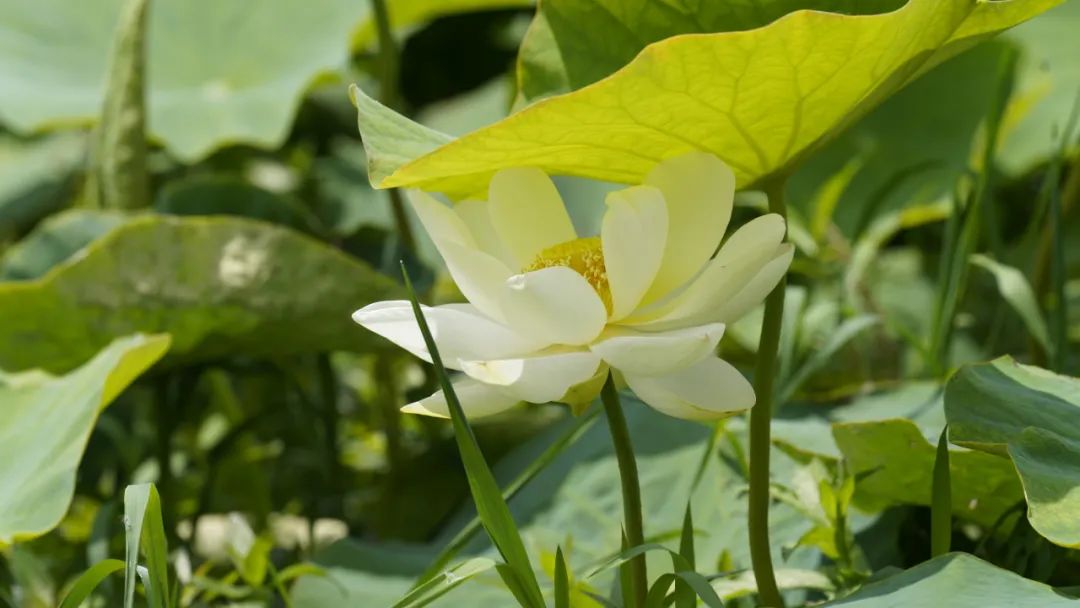 晋宁诗意的栖居地