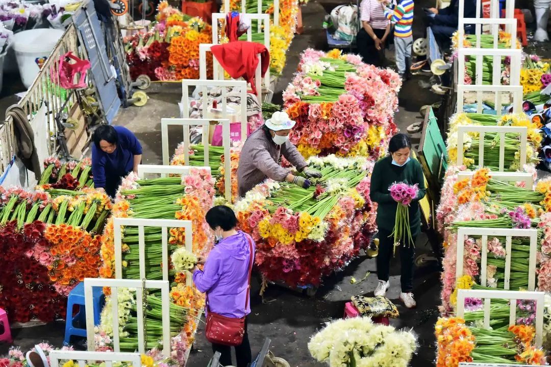呈贡发布