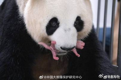 呈贡发布